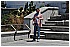 BIA_8385 - 233 KB