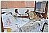 BIA_8768 - 188 KB