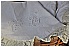 BIA_8775 - 108 KB