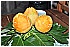 BIA_9616 - 195 KB