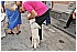 BIA_09910 - 218 KB