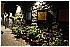 CAL_1173 - 257 KB