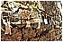 CAL_1183 - 284 KB