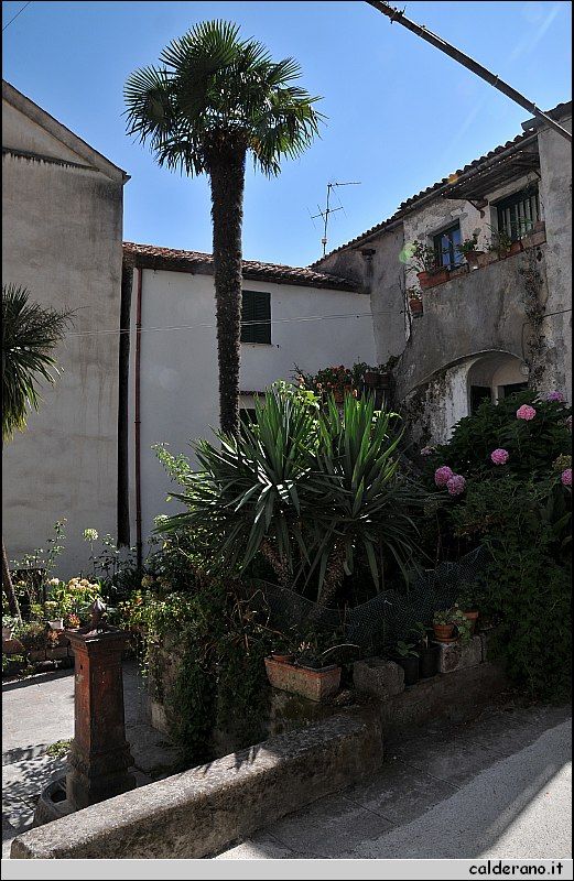 CAL_2228.JPG