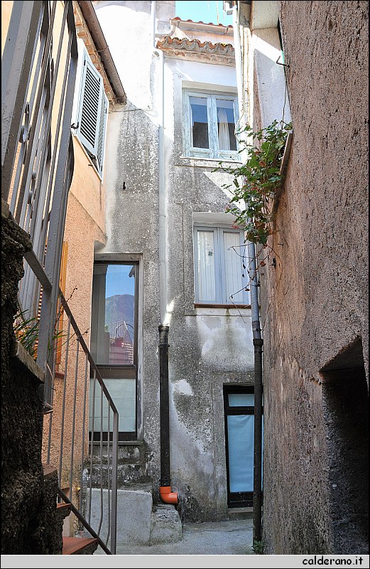CAL_2235.JPG