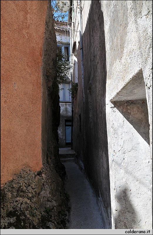 CAL_2238.JPG