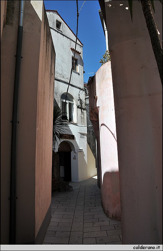 CAL_2260.JPG