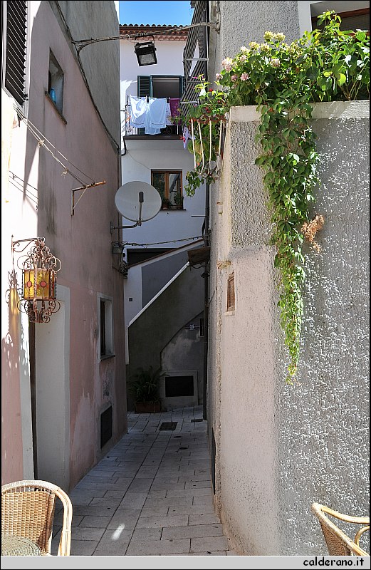 CAL_2261.JPG