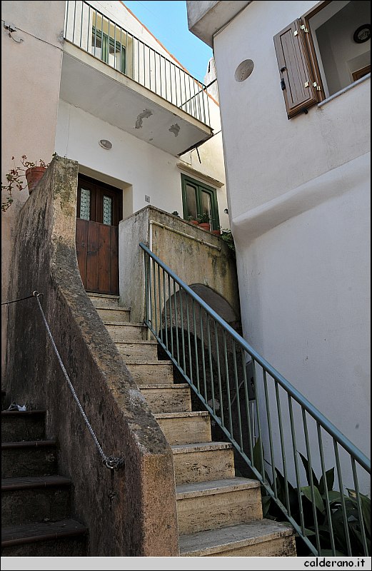 CAL_2264.JPG