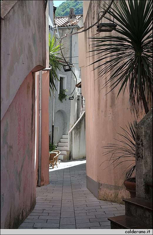 CAL_2268.JPG