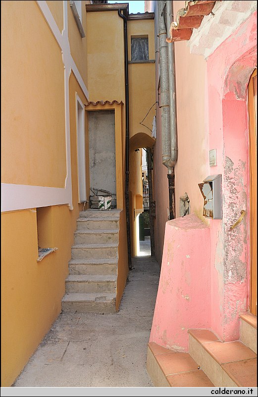 CAL_2270.JPG