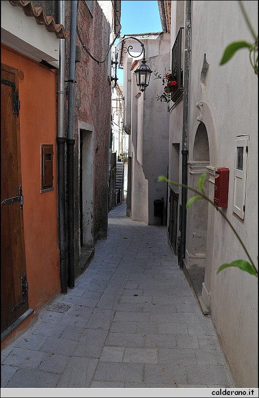 CAL_2293.JPG