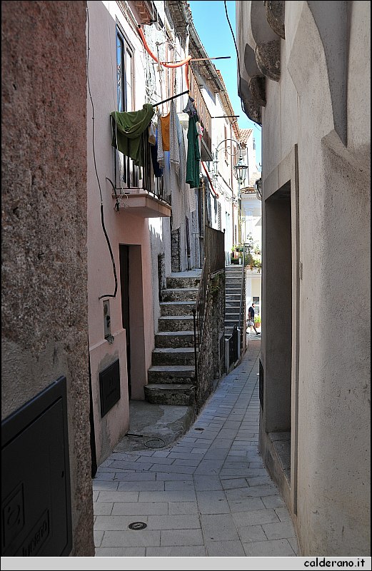 CAL_2295.JPG