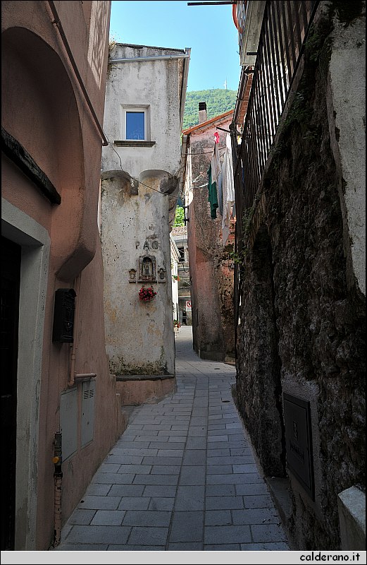 CAL_2300.JPG