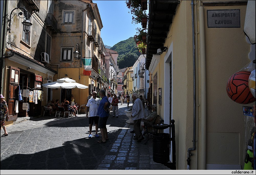 CAL_2309.JPG