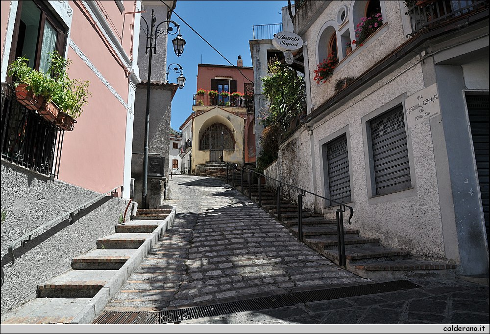 CAL_2339.JPG