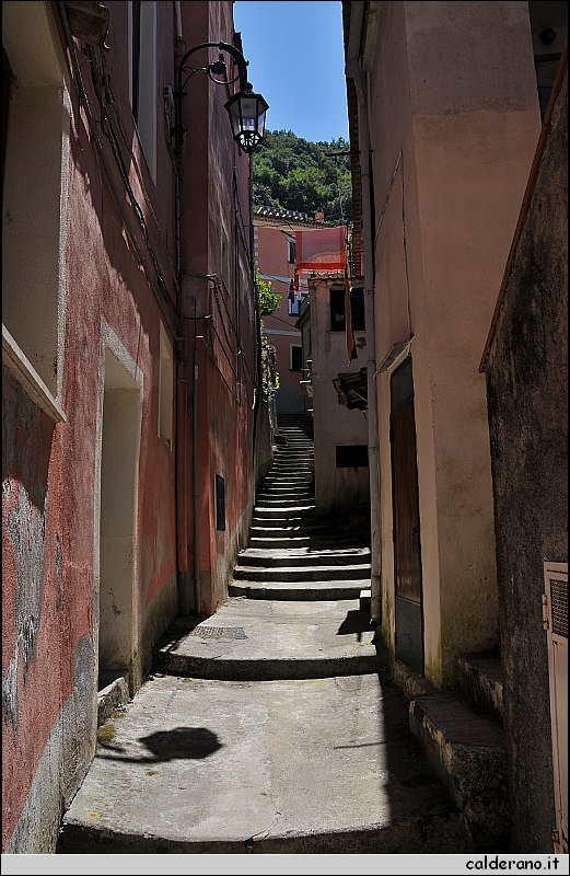 CAL_2348.JPG
