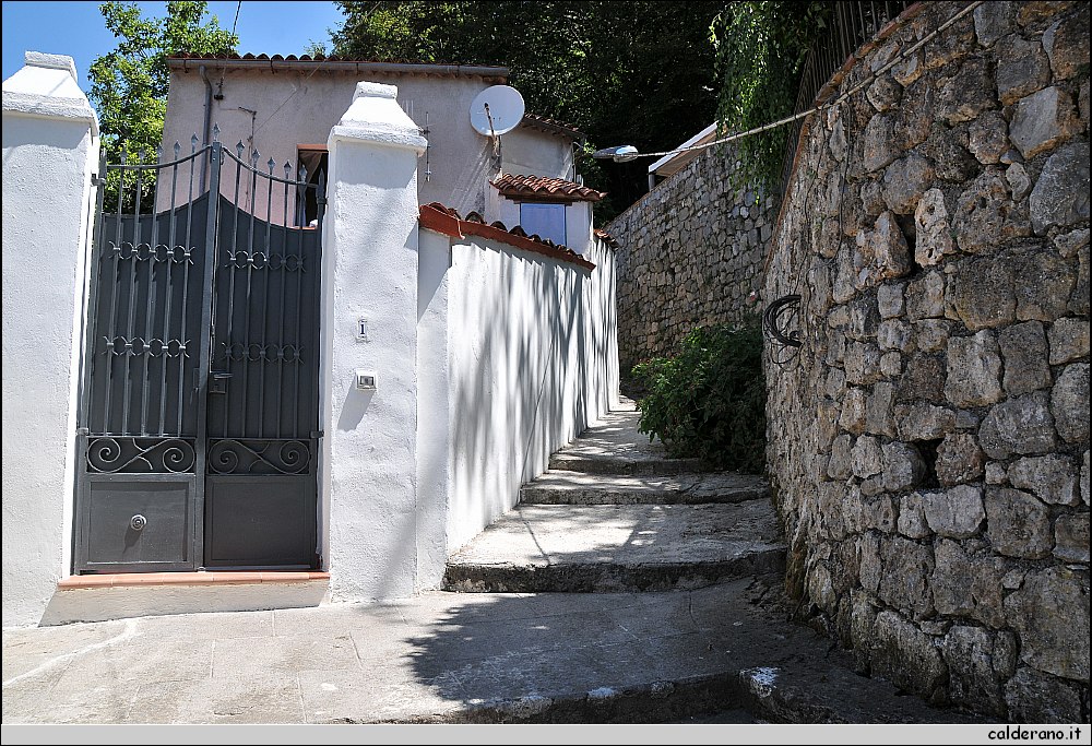 CAL_2361.JPG