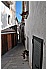 CAL_2284 - 118 KB