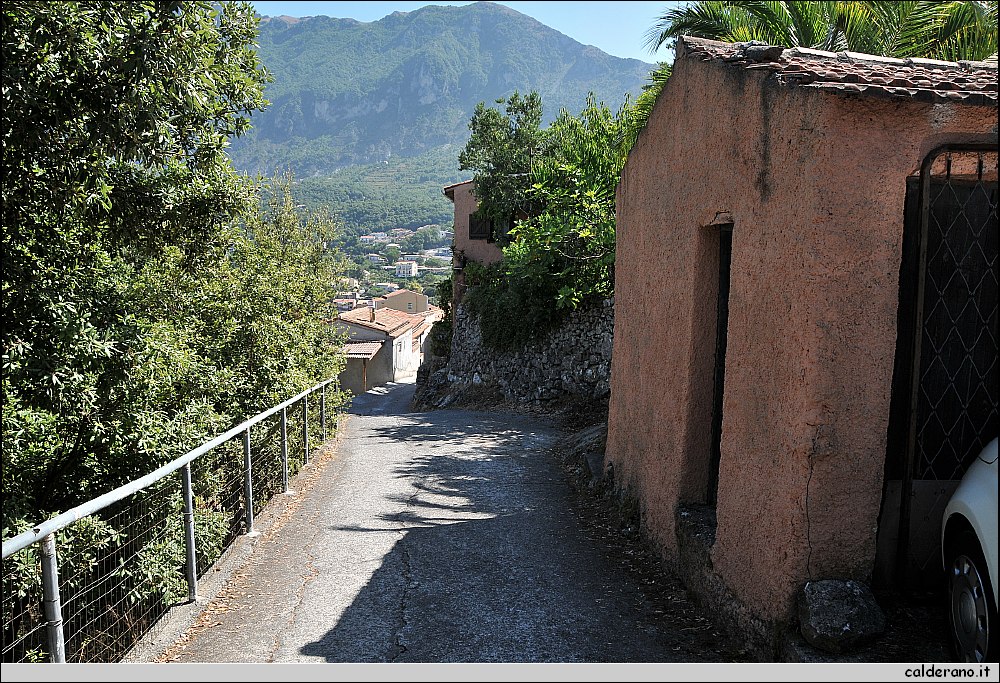 CAL_2376.JPG