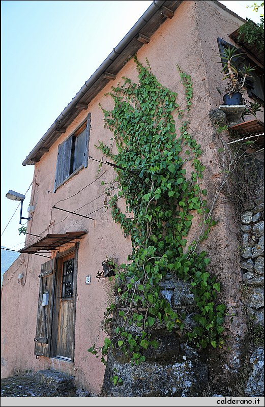 CAL_2378.JPG