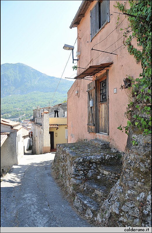 CAL_2379.JPG