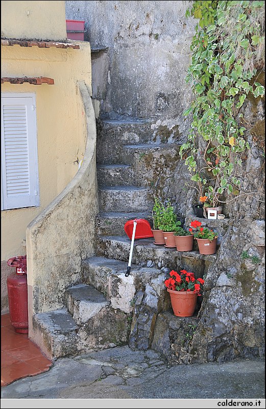 CAL_2381.JPG
