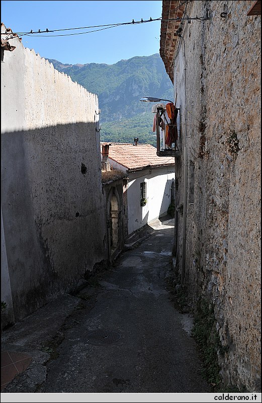 CAL_2384.JPG