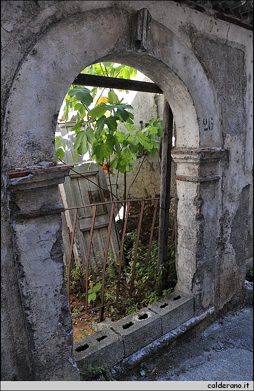 CAL_2385.JPG
