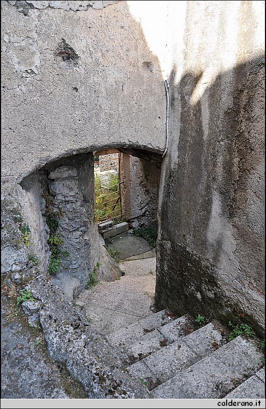 CAL_2387.JPG