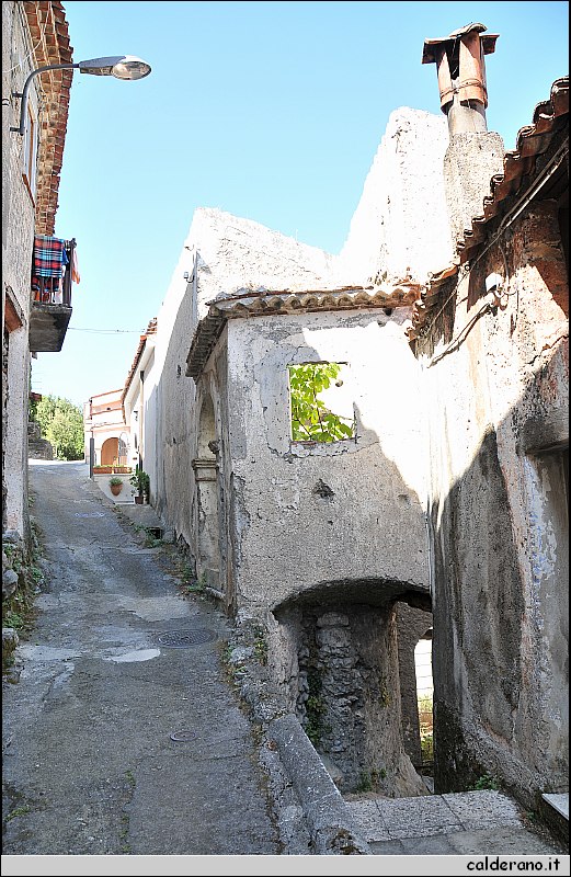 CAL_2388.JPG