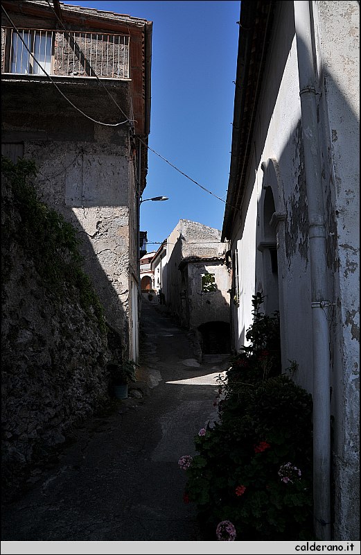 CAL_2391.JPG