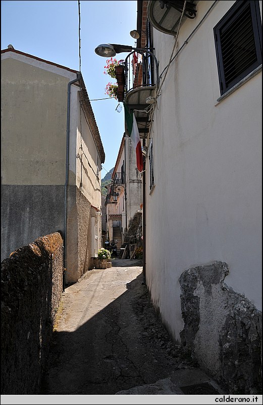 CAL_2392.JPG