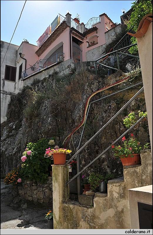 CAL_2394.JPG