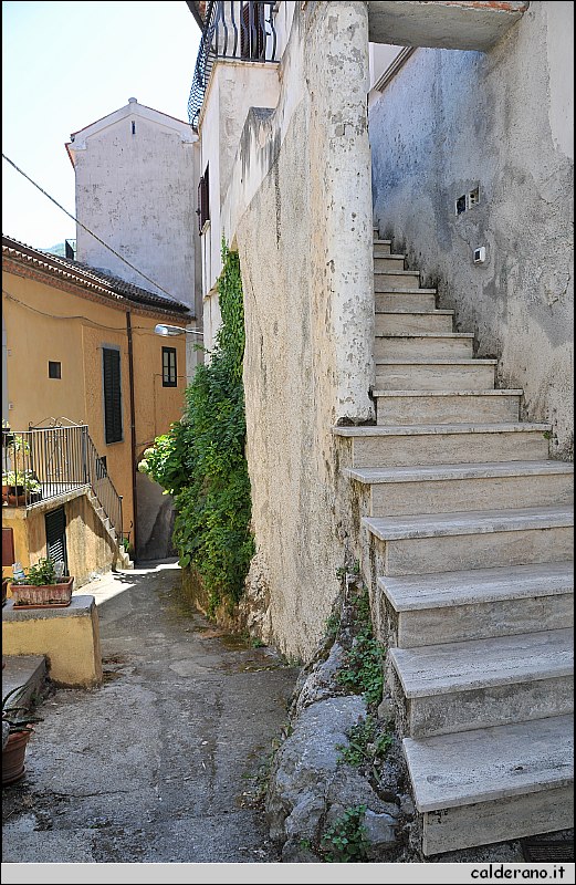 CAL_2397.JPG