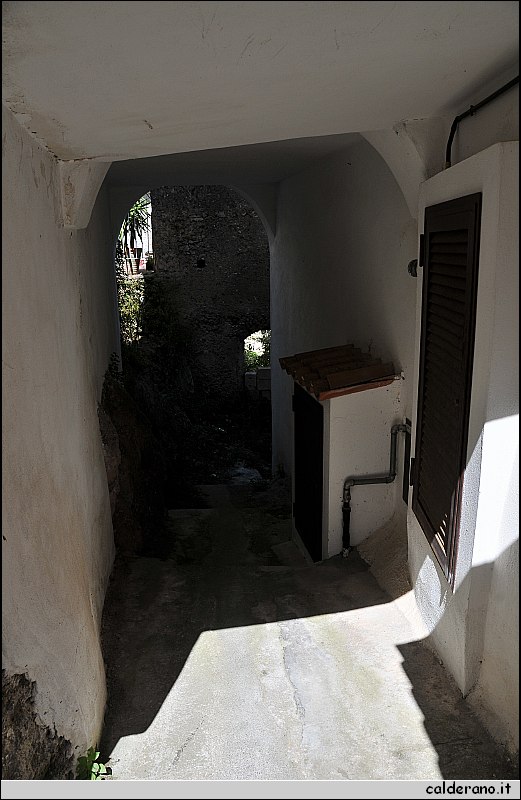 CAL_2404.JPG