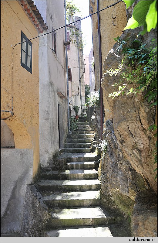 CAL_2407.JPG