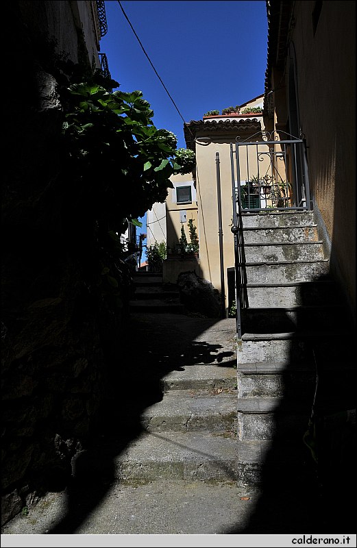 CAL_2409.JPG
