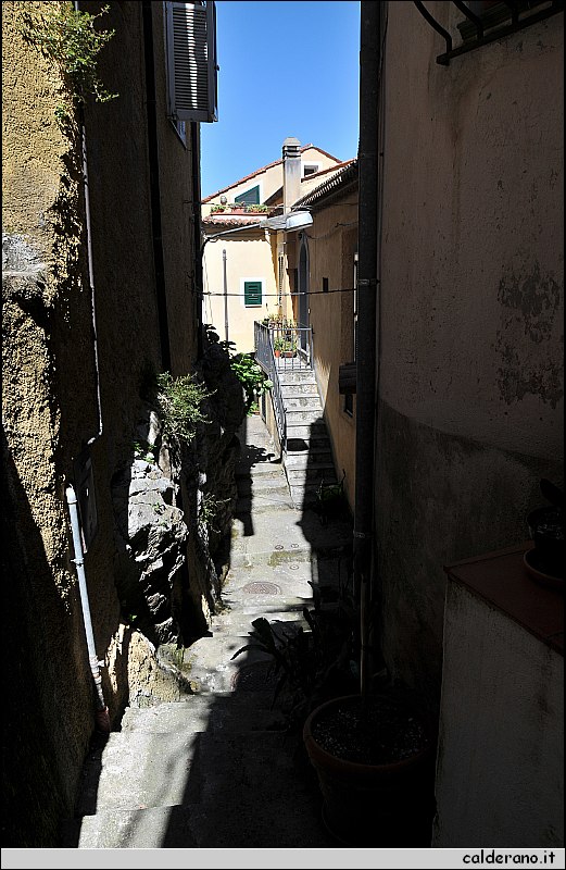 CAL_2411.JPG