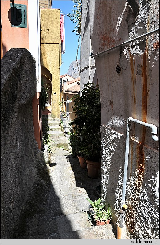 CAL_2415.JPG