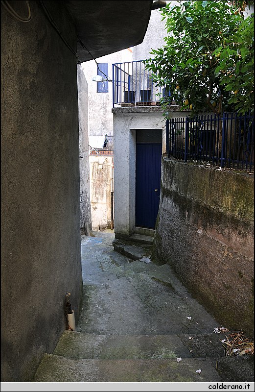 CAL_2417.JPG