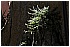 CAL_2436 - 199 KB