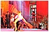 CAL_2524 - 127 KB
