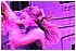CAL_2658 - 101 KB