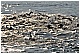 CAL_3599 - 345 KB
