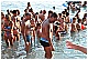 CAL_3630 - 264 KB