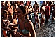 CAL_3653 - 183 KB
