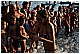 CAL_3660 - 203 KB