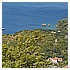 5 agosto 2007 015.jpg(4,34 MB)
