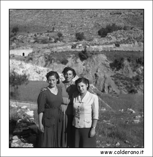 5914 Rosa Nenella Nina.jpg (1,22 MB)
